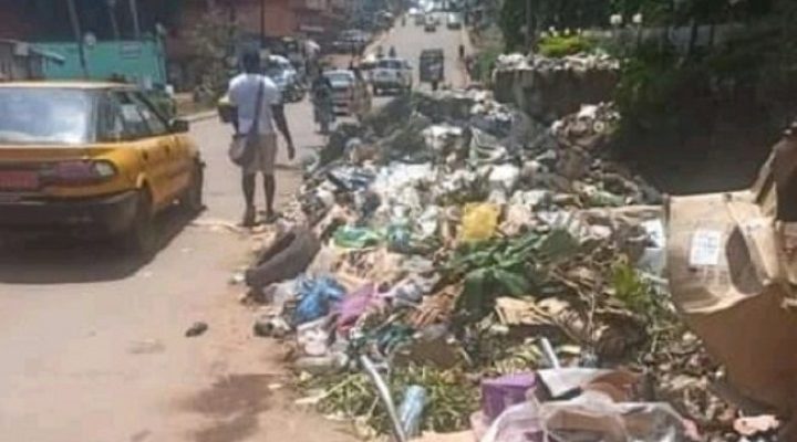 CPDM Crime Syndicate: Gov’t deploys youth to clean Yaoundé