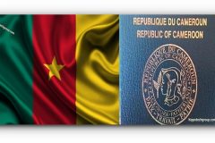 Cameroon’s passport improves over 20 years, but mobility remains limited