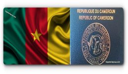 Cameroon’s passport improves over 20 years, but mobility remains limited