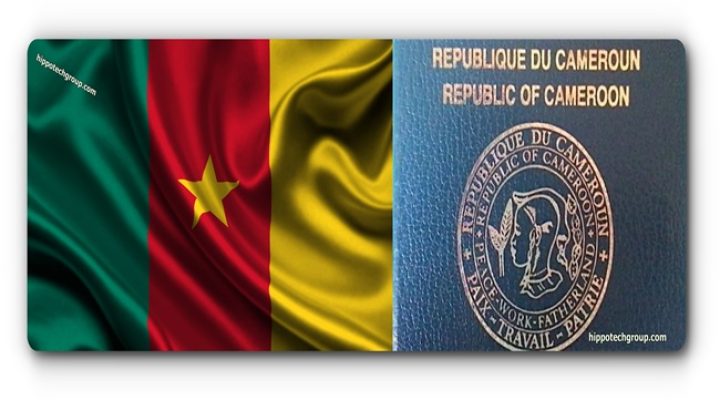 Cameroon’s passport improves over 20 years, but mobility remains limited
