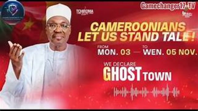 Issa Issa Tchiroma is now under Nigeria security protection in Yola