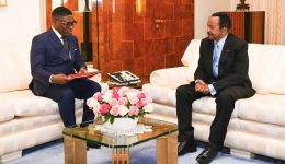 Cameroon, Equatorial Guinea agree on Yoyo–Yolanda gas unitization deal