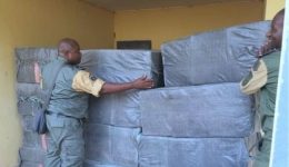 Garoua: Customs seizes 10,000 phones ahead of digital clearance rollout