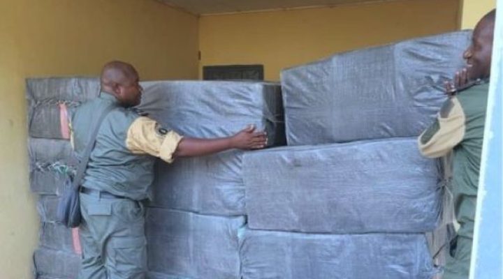 Garoua: Customs seizes 10,000 phones ahead of digital clearance rollout