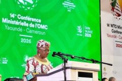 Yaoundé: WTO talks lay bare deepening fractures in global trade