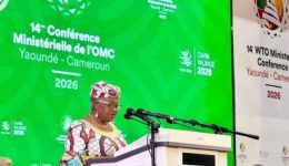 Yaoundé: WTO talks lay bare deepening fractures in global trade