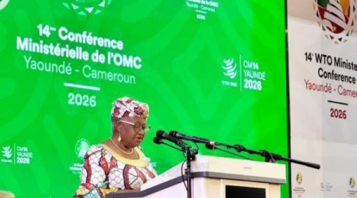 Yaoundé: WTO talks lay bare deepening fractures in global trade