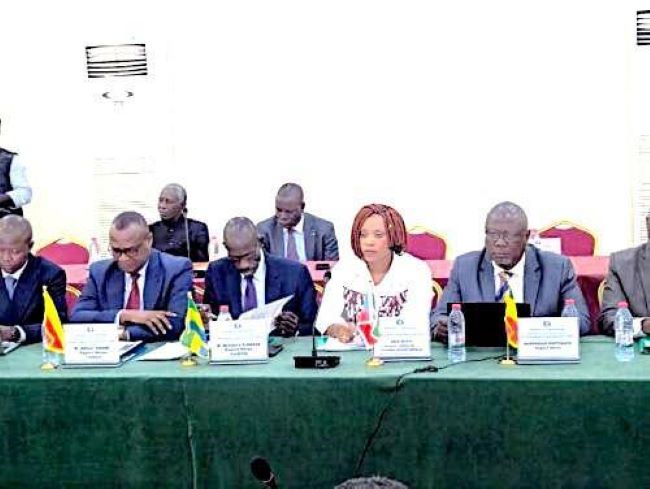 CEMAC drafts unified mining code to tighten governance