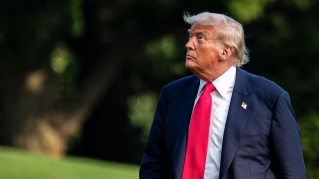 US lawmakers seek to invoke the 25th Amendment to remove Trump from power