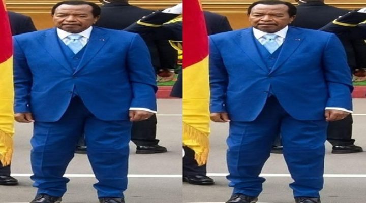 Another 20TH May, same questions: Can Biya still steady Cameroon?