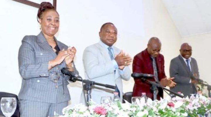 Union Bank of Cameroon raises profit to CFA 5 billion