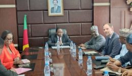 Yaoundé, Abuja explore conditions to advance Dasin Hausa Hydroelectric Project