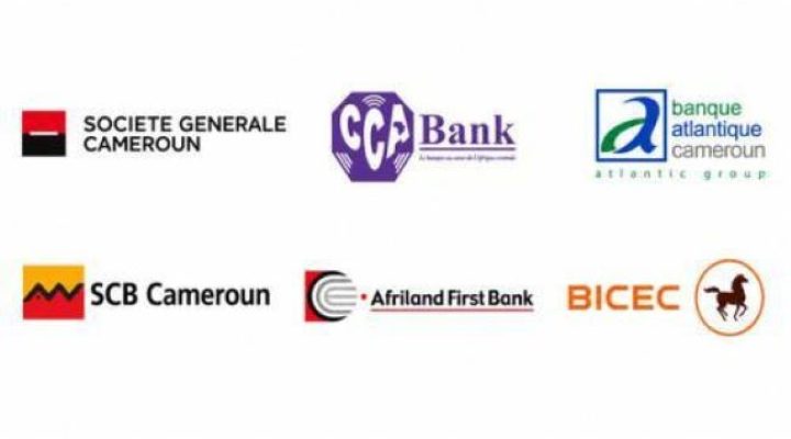 Cameroon’s top 5 banks control nearly three-quarters of new lending