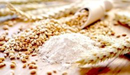 Dion Ngute admin unveils CFA30.9 billion plan to build a wheat industry