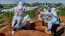 Congo-Kinshasa: Ebola outbreak tops 400 deaths as virus reaches major city