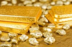 Biya must end the scandal of illegal gold exports