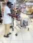 Inoni Ephraim: how yesterday’s indispensable Biya ally quickly became today’s discarded liability