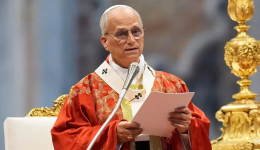 Pope Leo calls for ‘moderation’ in US public discourse on 250th anniversary of independence