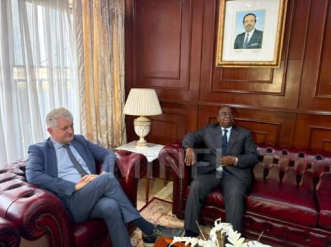 EU and Cameroon EU grants to Cameroon exceeds CFAF626bn