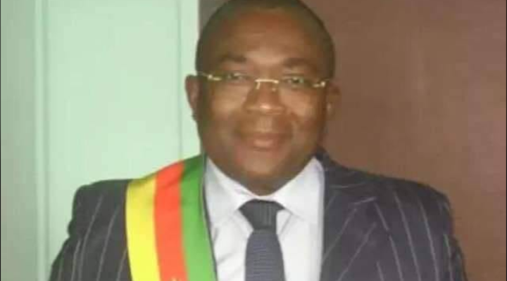 Jean Michel Nintcheu calls on Biya to resign
