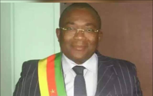 Jean Michel Nintcheu Jean Michel Nintcheu calls on Biya to resign