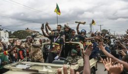 Cameroon celebrates as WAFCON winners return home
