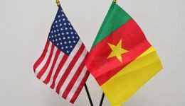 Cameroon invites businesses to explore $500m U.S.-Africa program on minerals