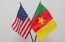 Cameroon invites businesses to explore $500m U.S.-Africa program on minerals