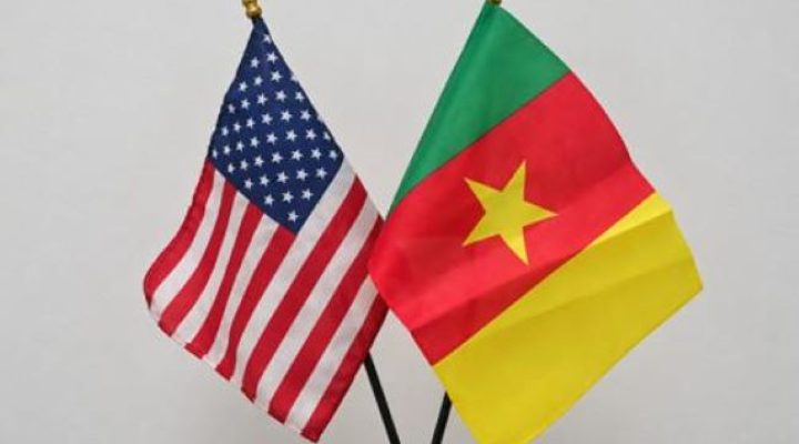 Cameroon invites businesses to explore $500m U.S.-Africa program on minerals